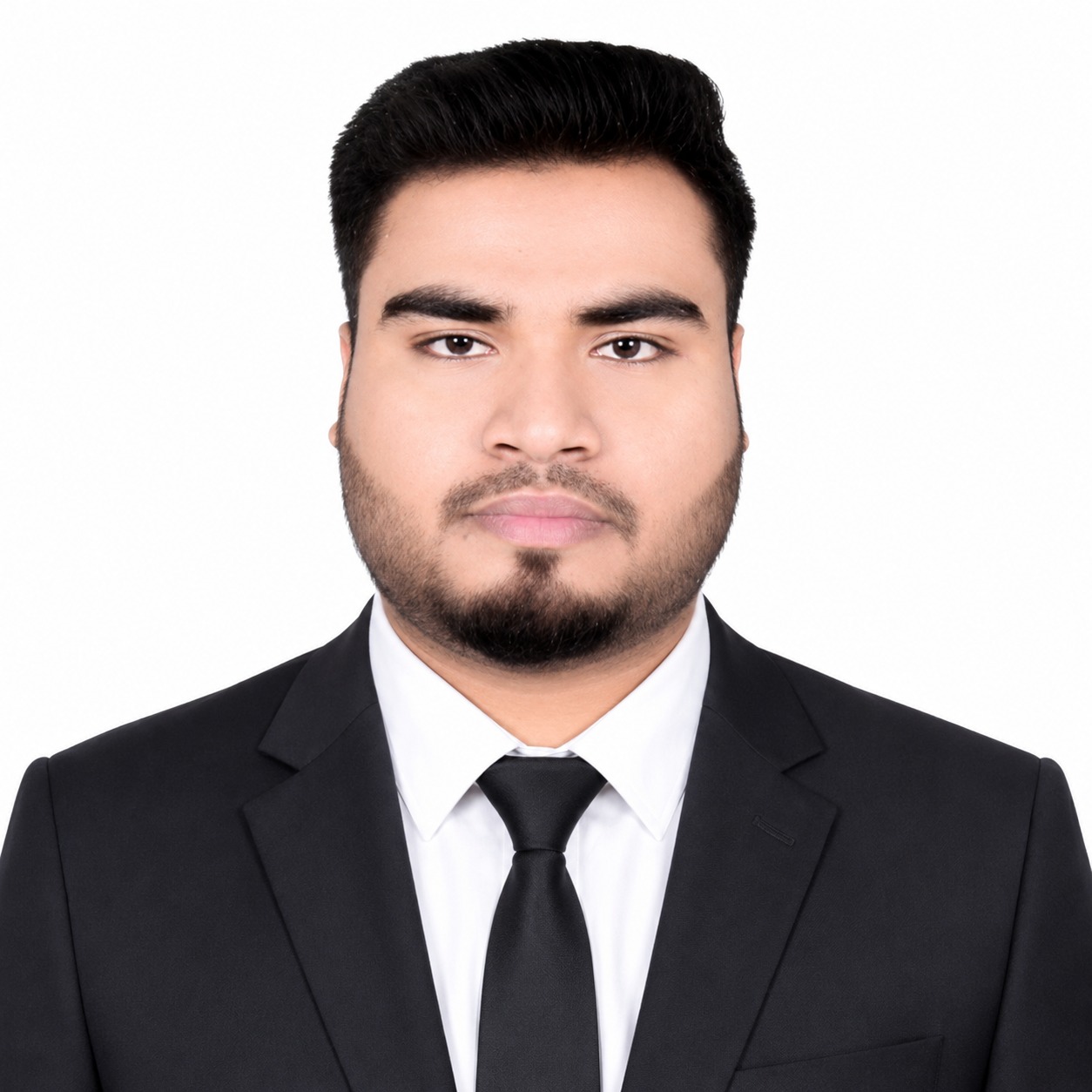 Developer